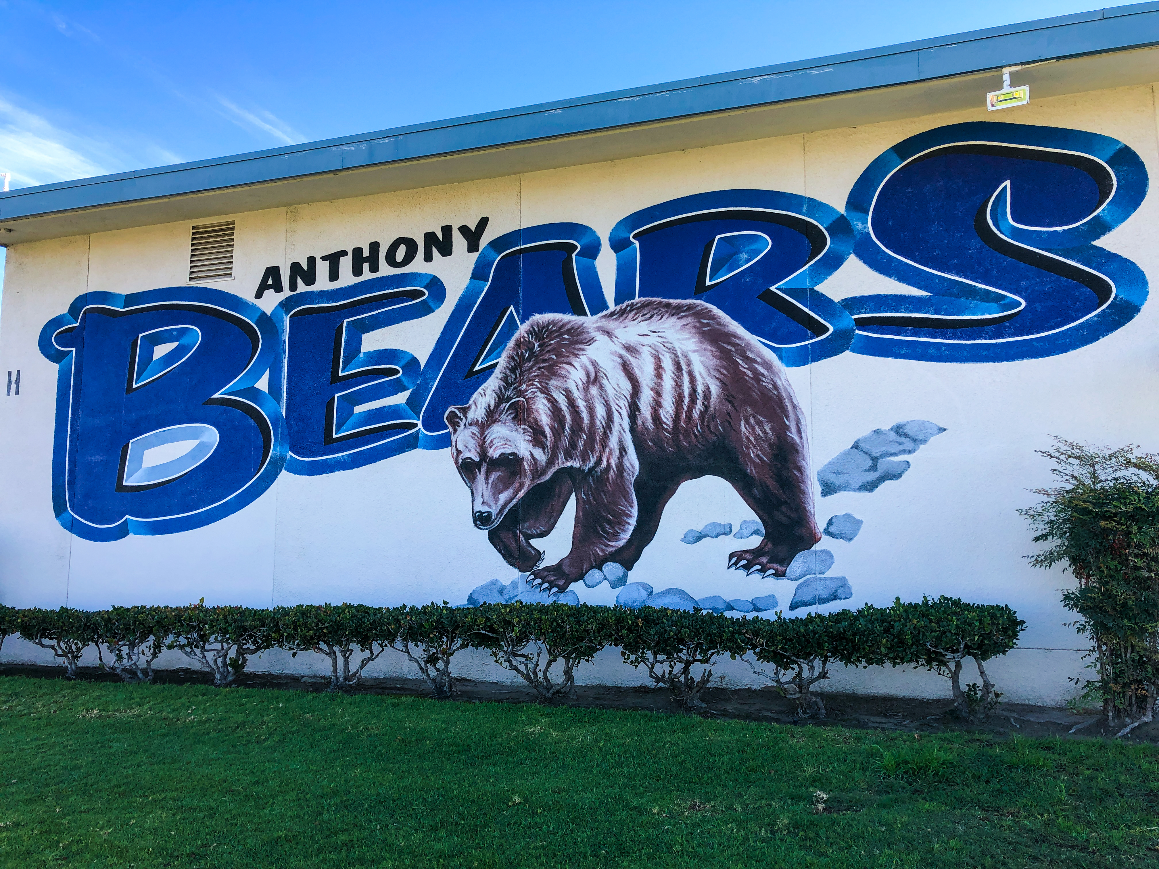 Anthony Bears