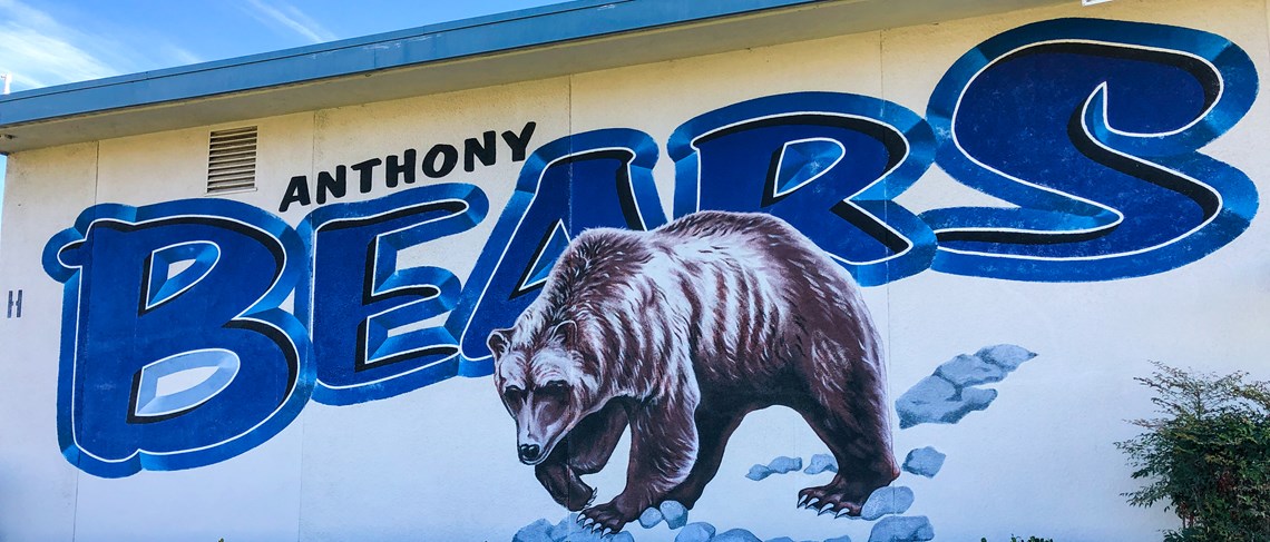 Anthony Bears