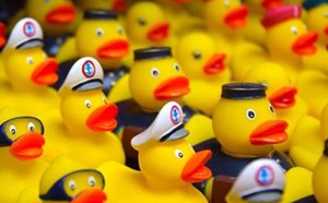 Rubber Ducky Barbecue - article thumnail image