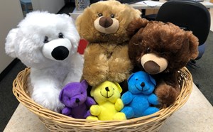Bear Bash 200 - article thumnail image
